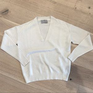 Ever lane Cashmere V-Neck Sweater